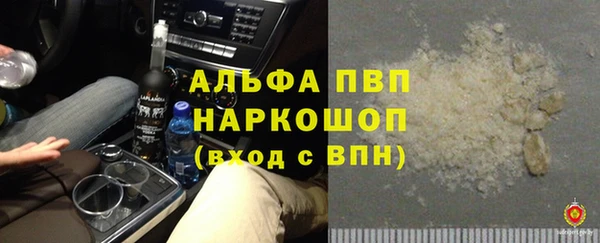 ПСИЛОЦИБИНОВЫЕ ГРИБЫ Арсеньев