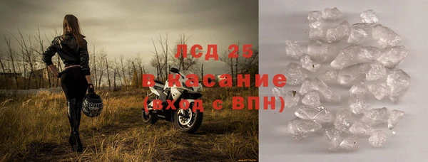 ПСИЛОЦИБИНОВЫЕ ГРИБЫ Арсеньев