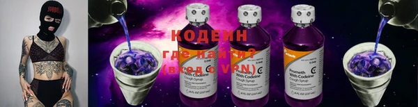ПСИЛОЦИБИНОВЫЕ ГРИБЫ Арсеньев