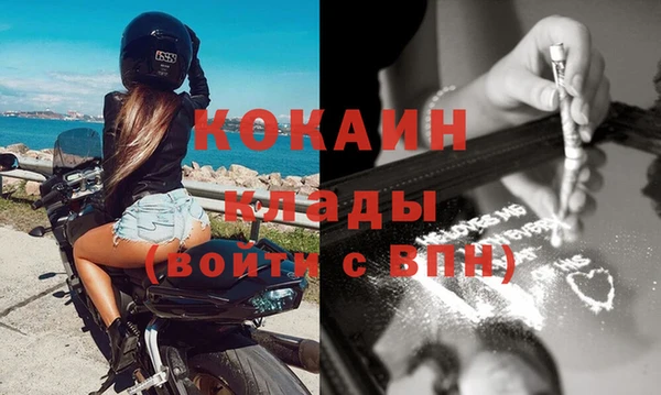 ПСИЛОЦИБИНОВЫЕ ГРИБЫ Арсеньев