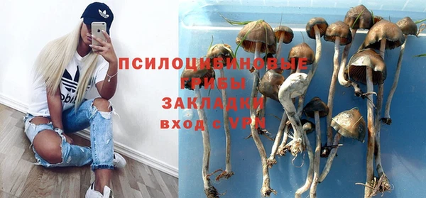 ПСИЛОЦИБИНОВЫЕ ГРИБЫ Арсеньев