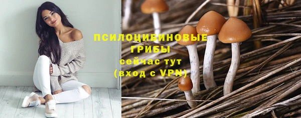 спиды Армянск