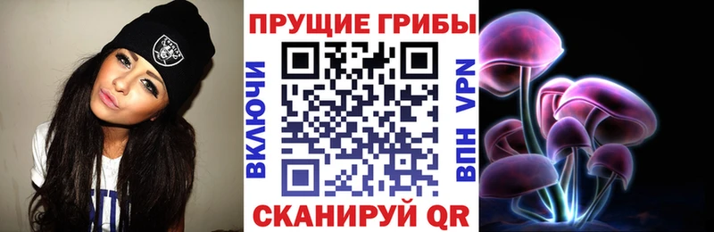 Псилоцибиновые грибы прущие грибы  дарнет шоп  Волгодонск 