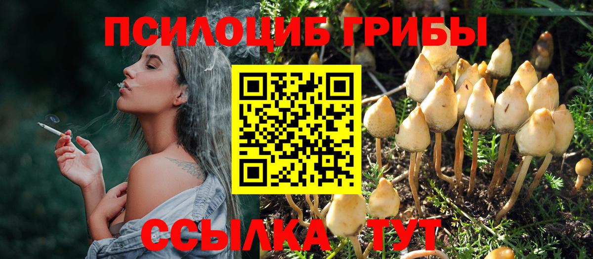 Волгодонск  Псилоцибиновые грибы Magic Shrooms  Вход с VPN 